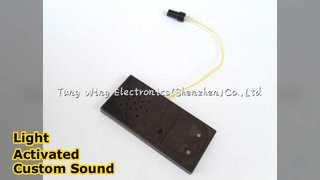 Custom Sound Module Light Activated 60 Sec