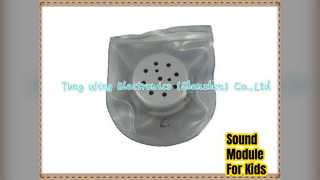 Waterproof Sound Module Kids Clothes Shoes Toys