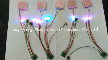 Beautiful Lights  2 Colorful LED And 1 Button Flashing sound chip for toys